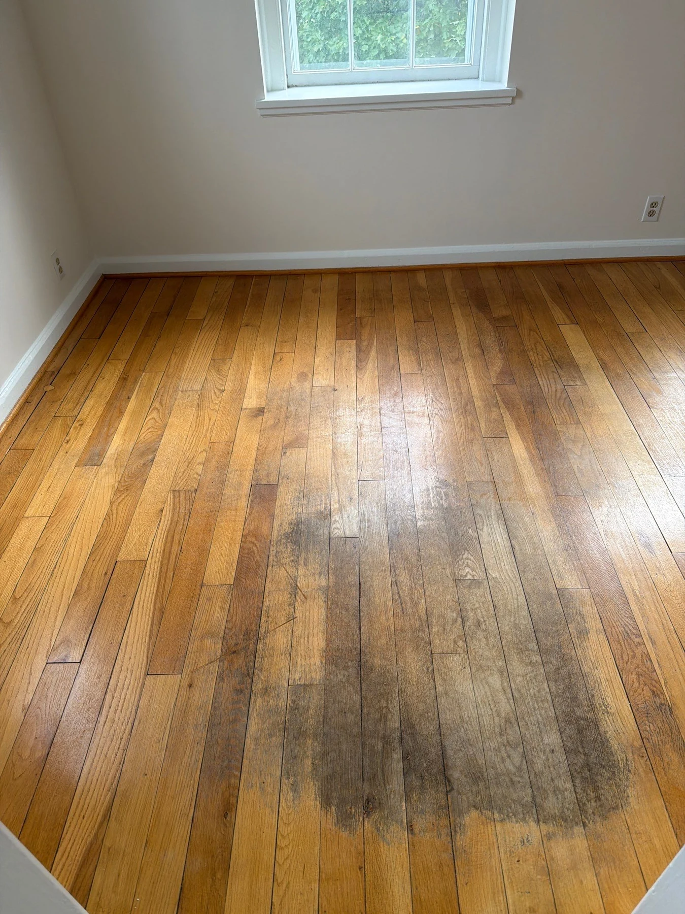 Washington, D.C. West: Bedroom – before refinishing