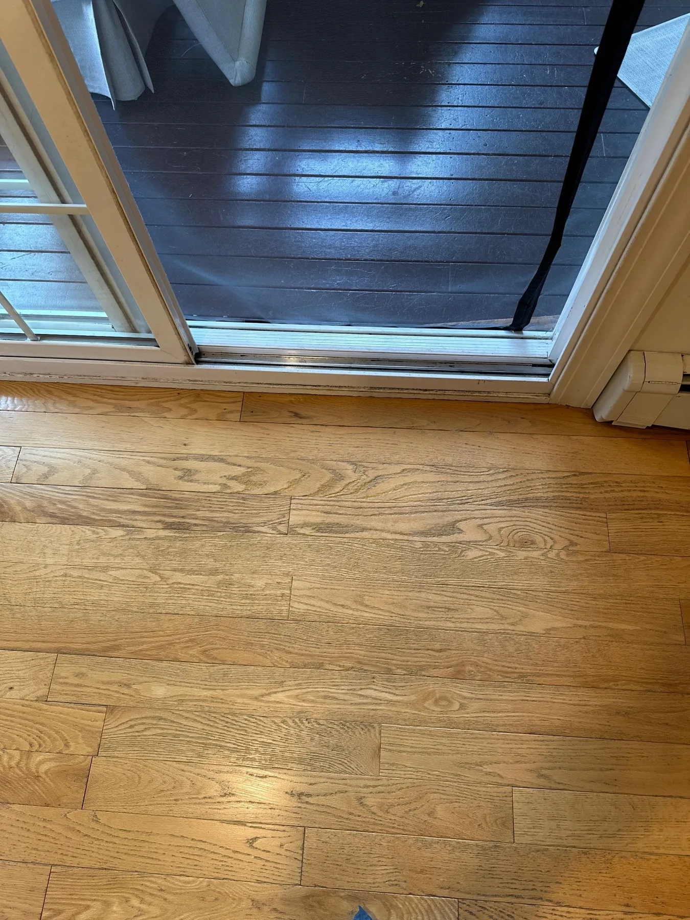 Merrimack Valley: Dog Nail Damage – after ReCoat Revolution refinishing