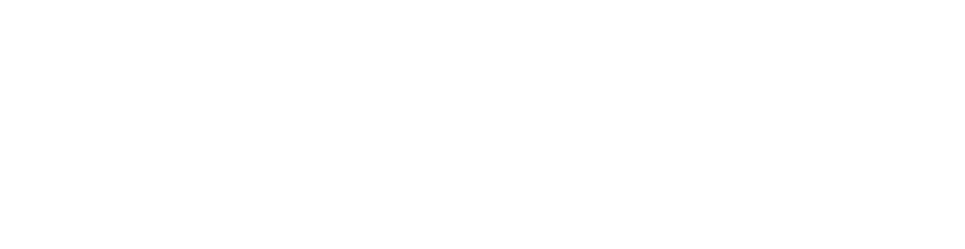 Saint Louis Art Museum