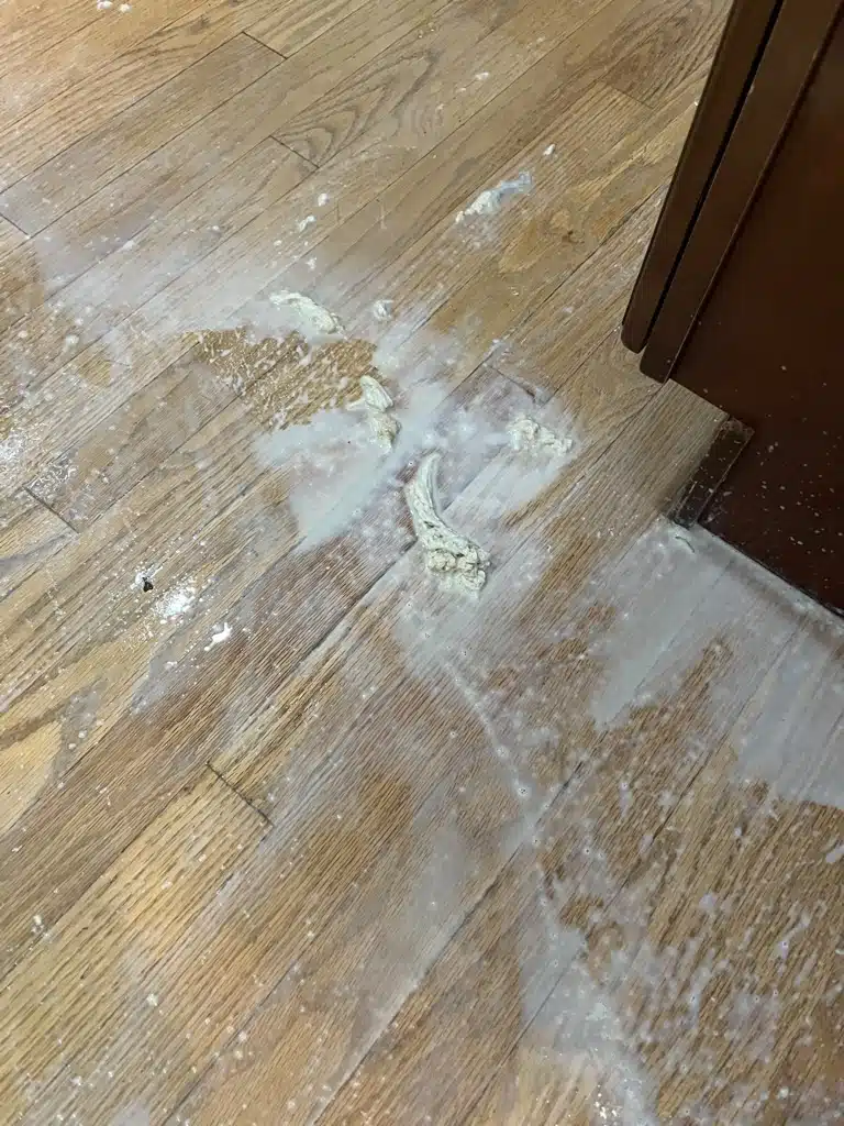 A close-up of the wax buildup being removed from a hardwood floor by ReCoat Revolution.