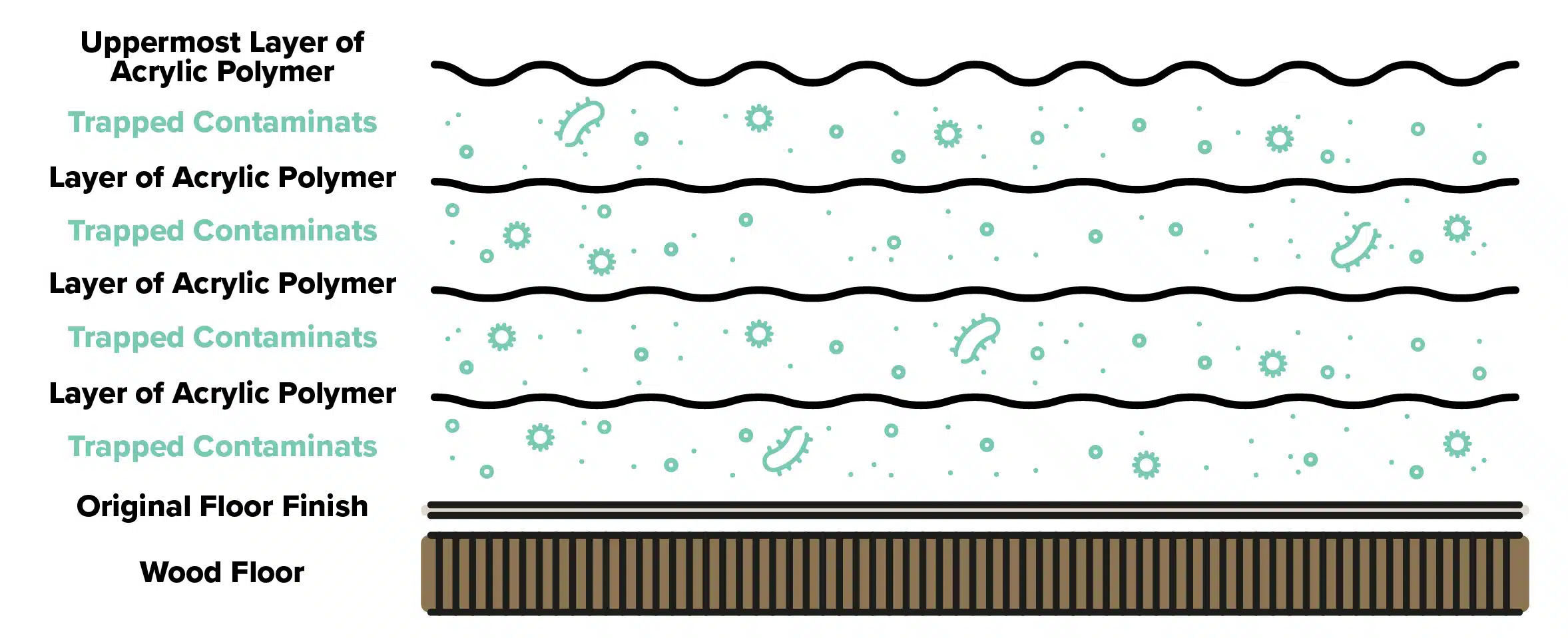 A stylized graphic showcasing the various layers that can build up above your wood floor. Layers include four alternating layers of acrylic polymer with trapped contaminants between each layer before reaching the original floor finish and wood floor.
