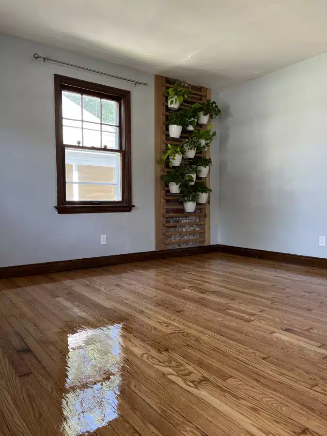 The glossy result of a refinished hardwood floor by ReCoat Revolution in an older style home, facing toward a wooden-trimmed window and wall of hanging potted plants.